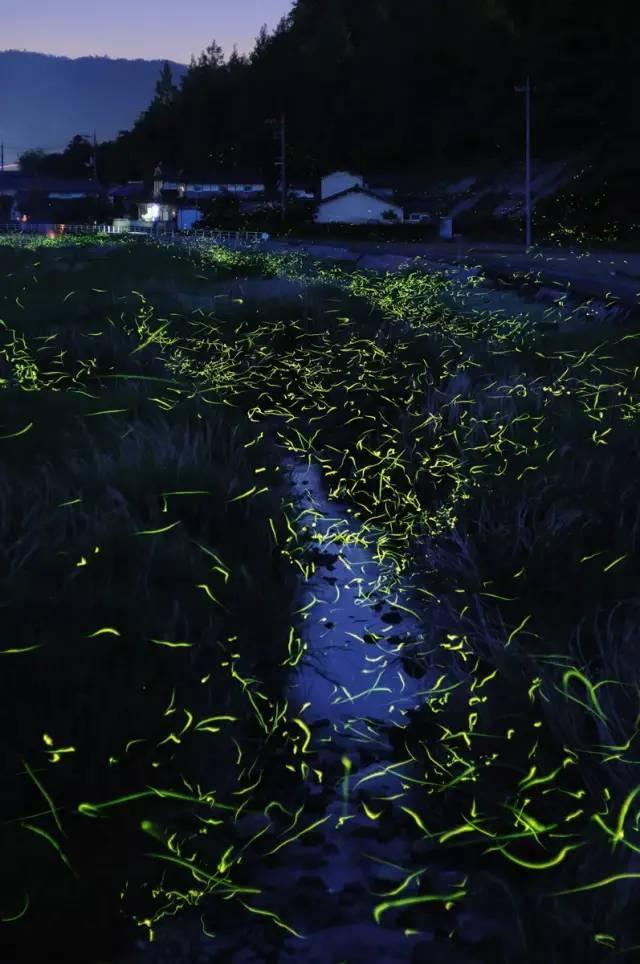 逃离废弃的卡车场