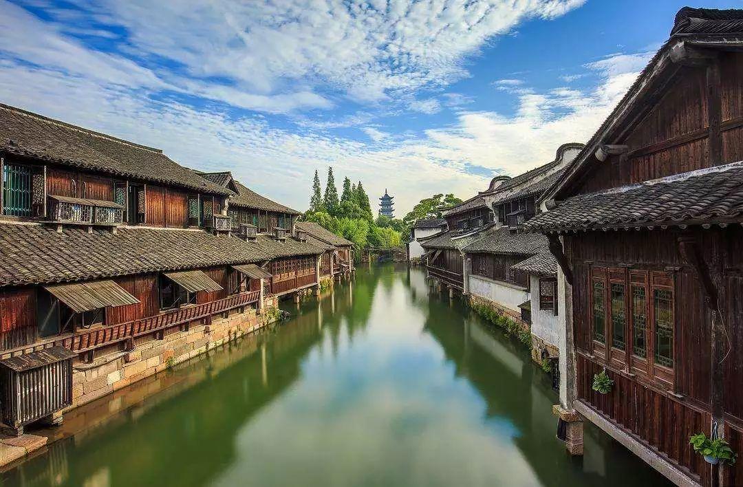 动物记忆大翻牌
